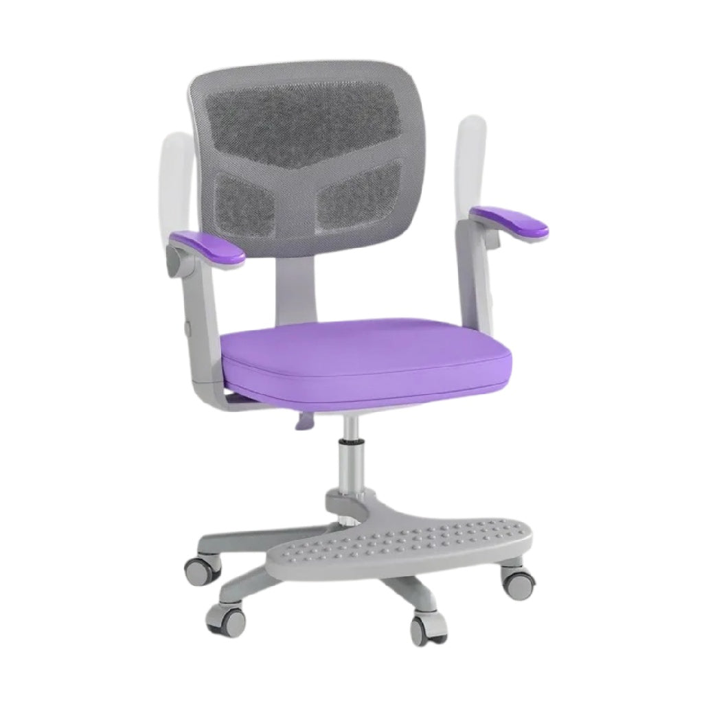 **Chaise de bureau ergonomique avec support lombaire et accoudoirs ajustables**